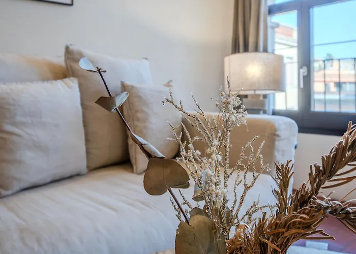 Flateli Santa Clara 22